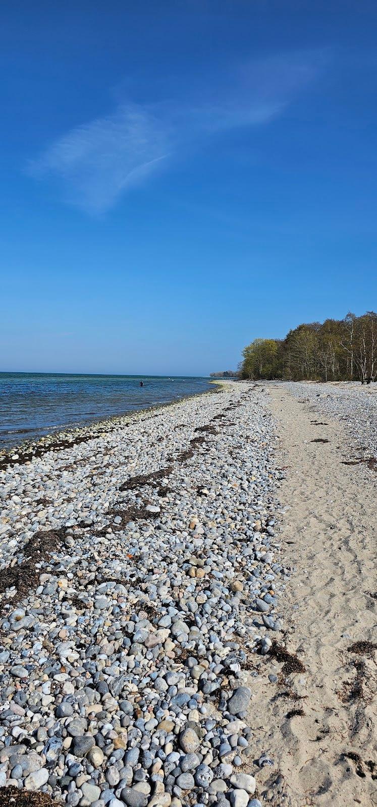 Sandee Strøby Ladeplads Strand