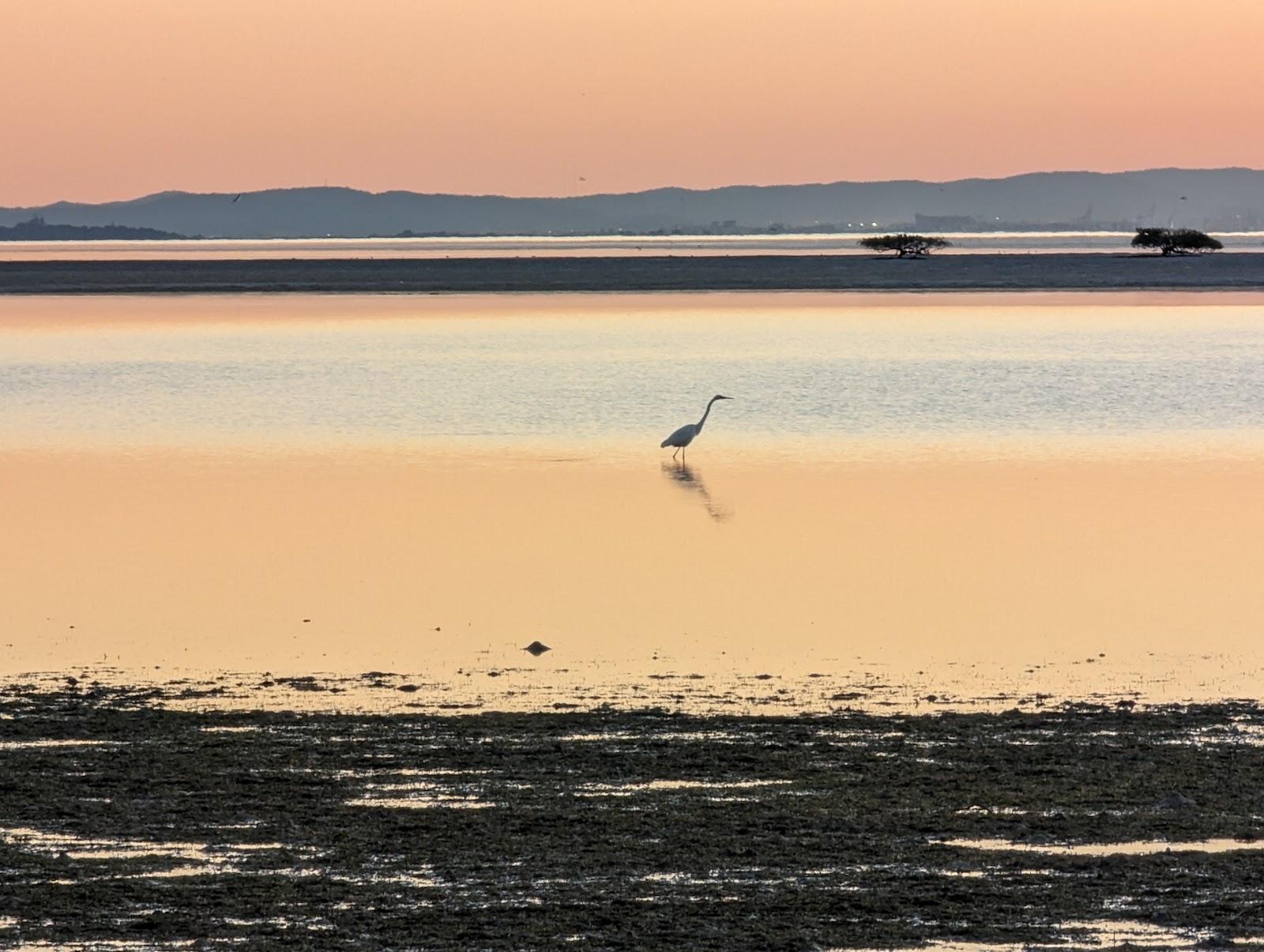 Sandee Moreton Beach Photo