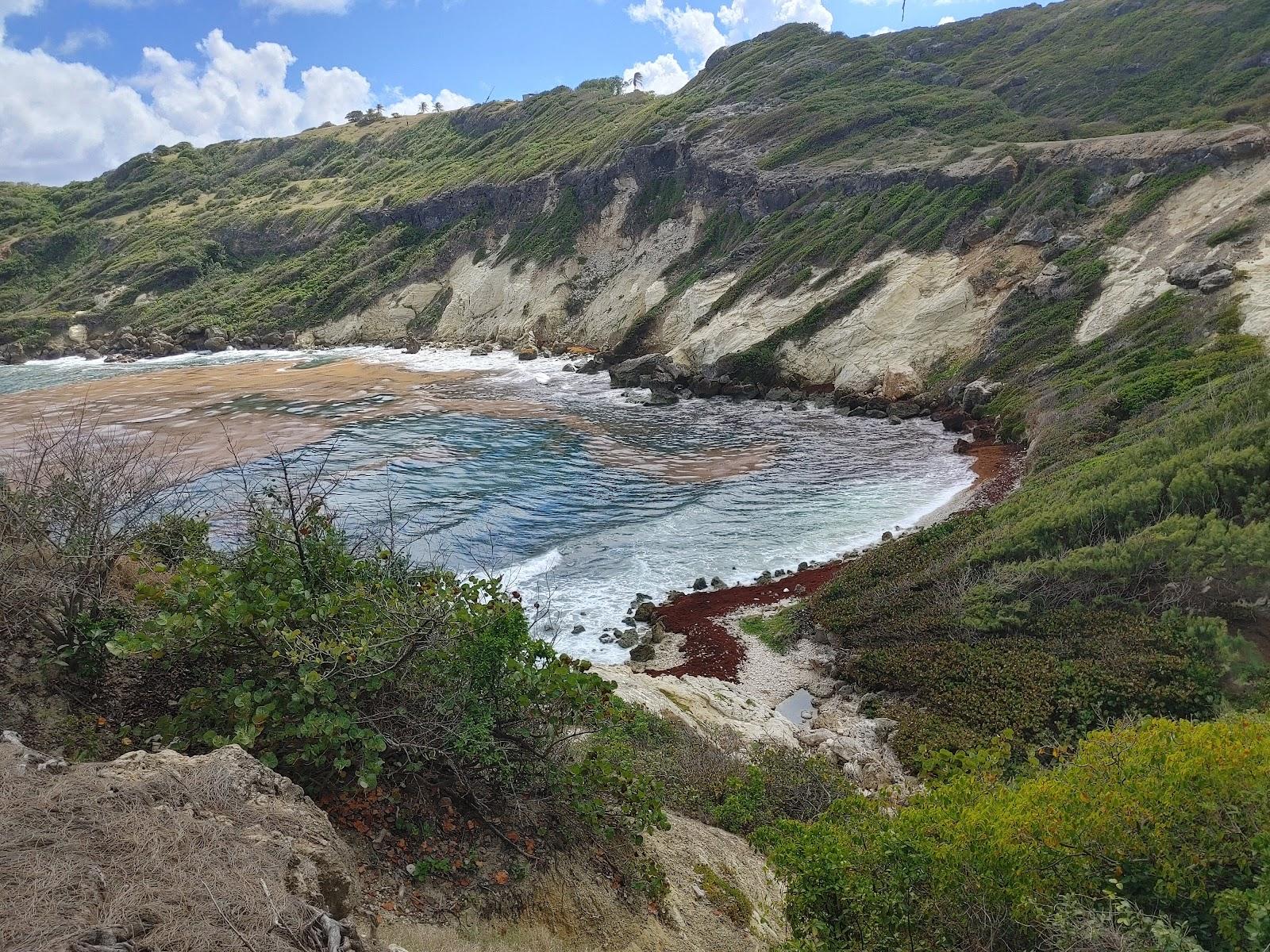 Sandee Cove Bay