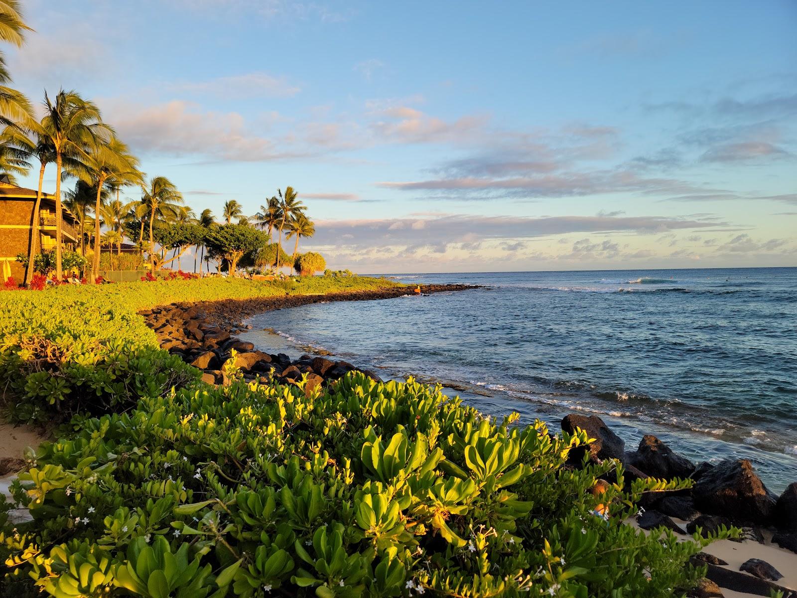 Sandee - Waiohai Beach