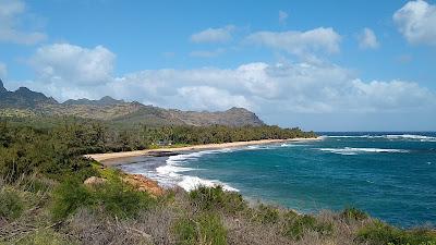 Sandee - Gillins Beach