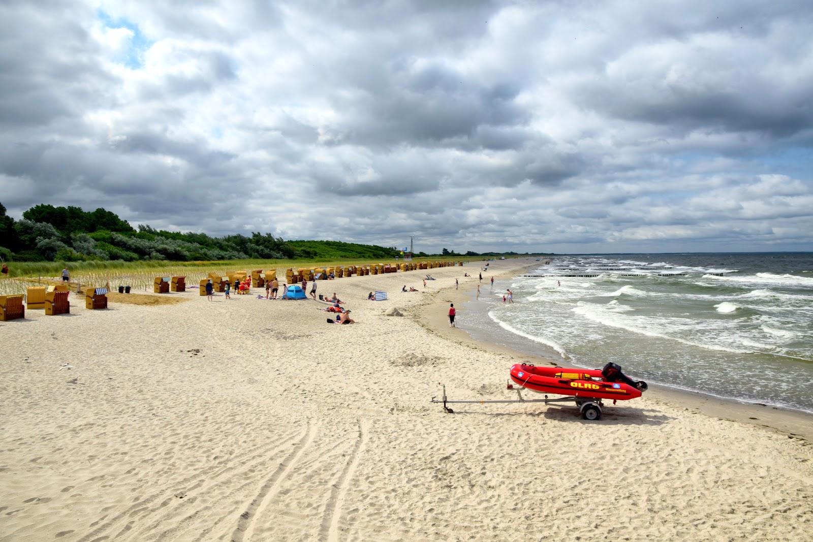 Sandee Hundestrand Wustrow