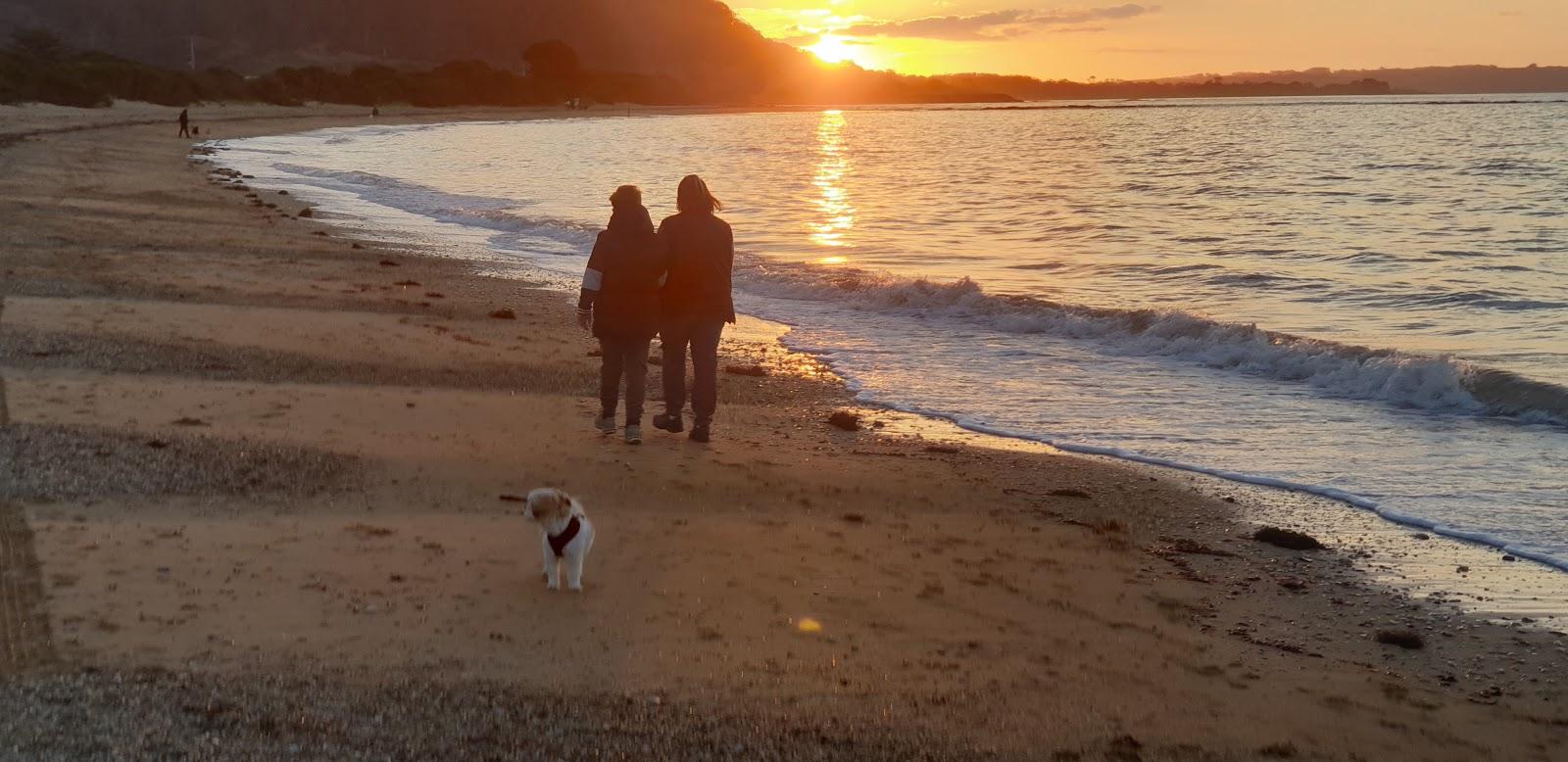 Sandee Fairlands Beach