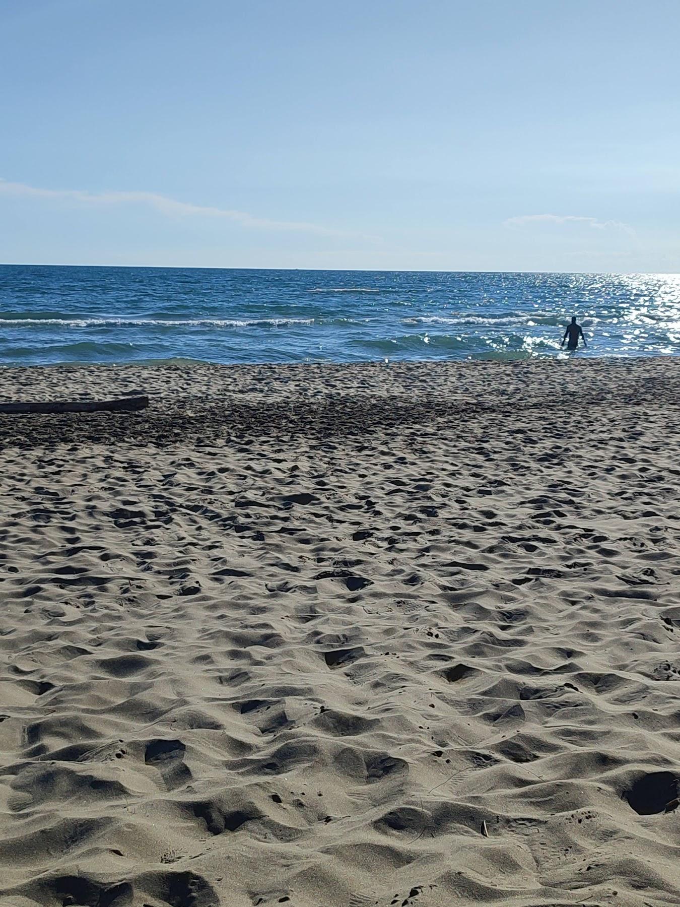 Sandee Espiguette Naturist Beach Photo