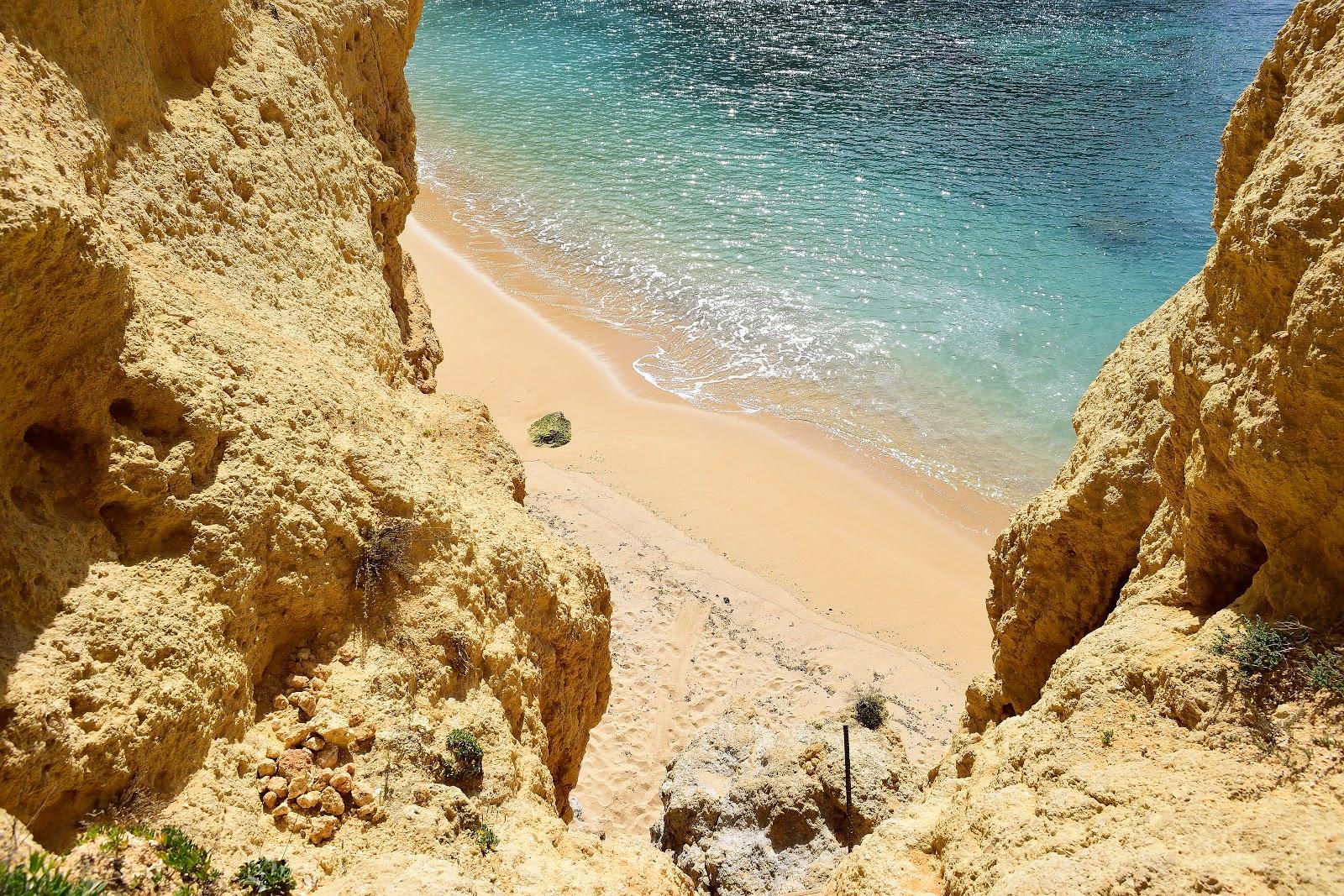 Sandee - Praia Da Cama Da Vaca