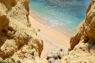 Sandee - Praia Da Cama Da Vaca