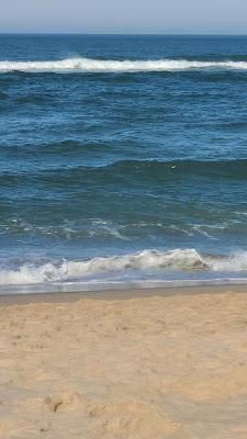 Sandee - Nauset Beach