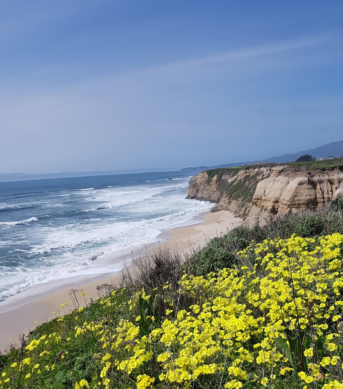 Sandee - Cowell Ranch Beach