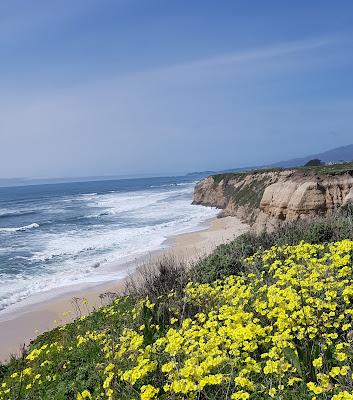 Sandee - Cowell Ranch Beach