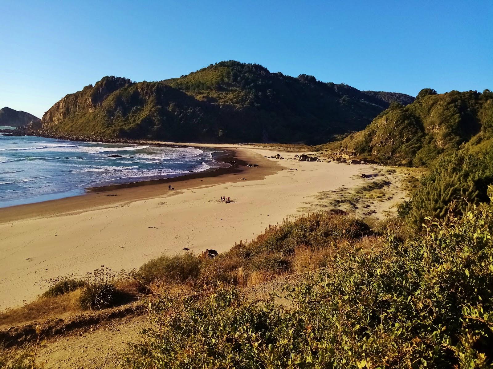 Sandee Playa Chica Millaneco Leby Chile Photo