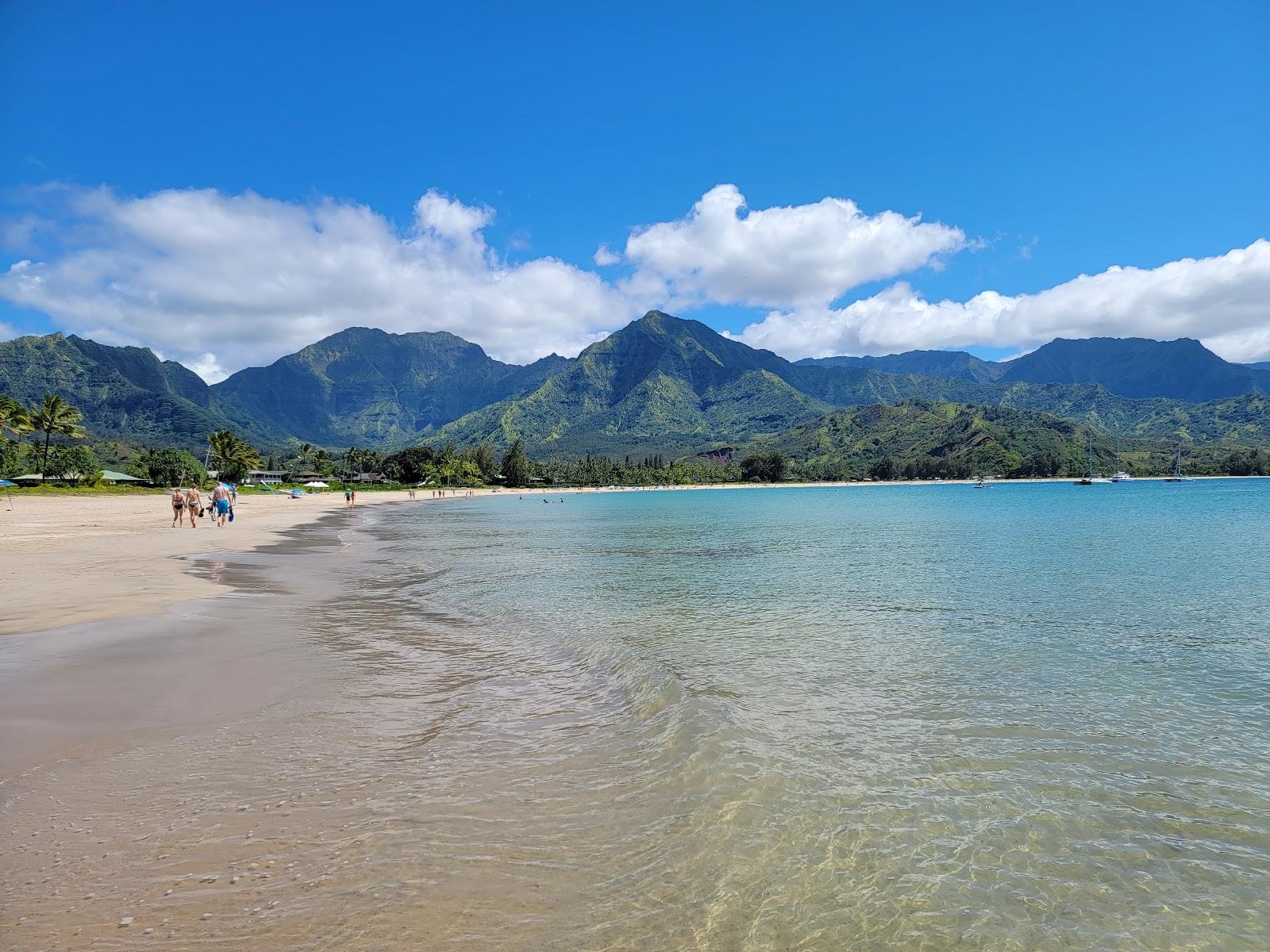 Sandee - Hanalei Beach