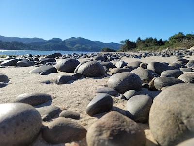 Sandee - Nehalem Bay Jetty Trail