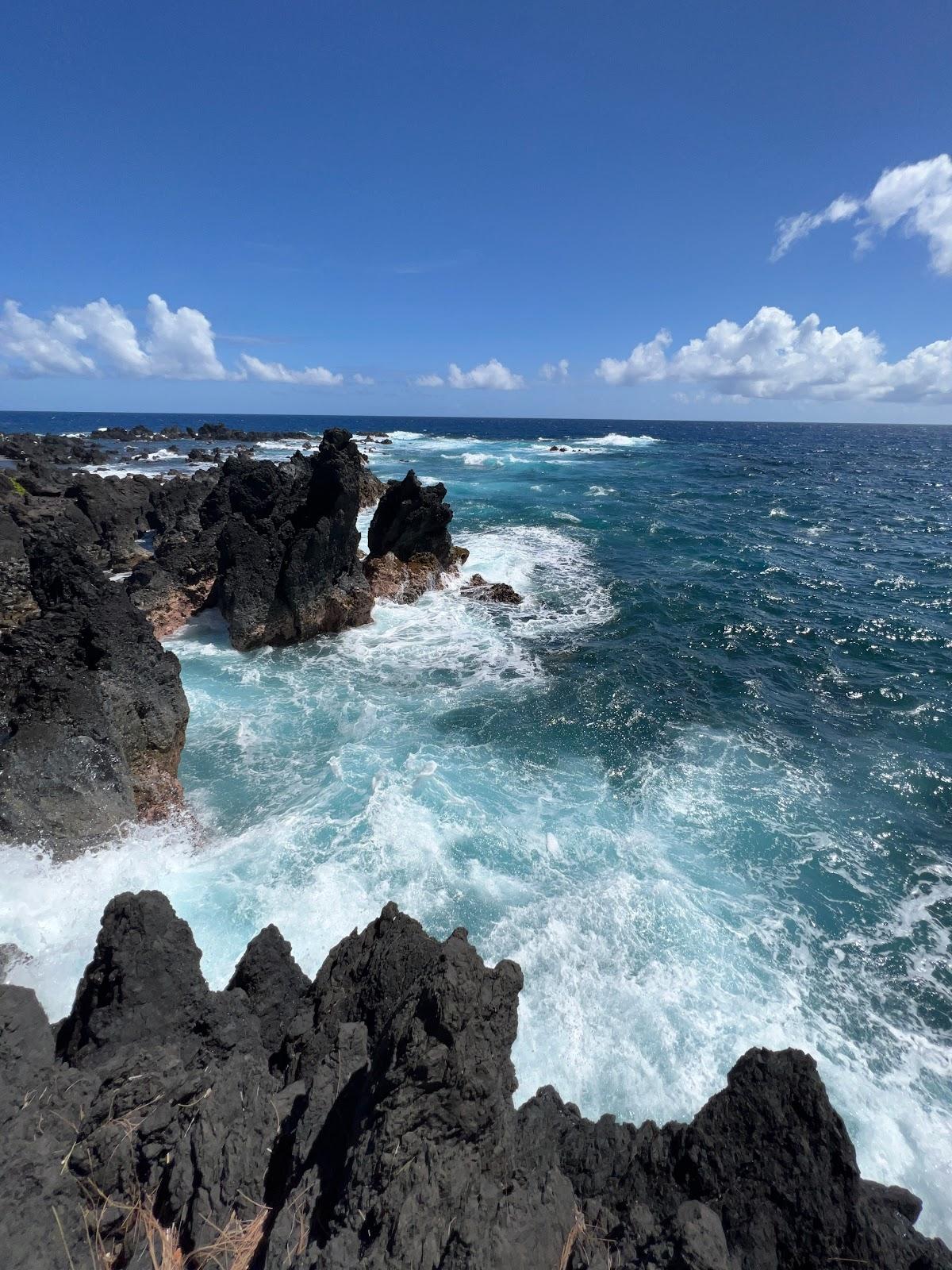 Sandee - Laupahoehoe Beach County Park