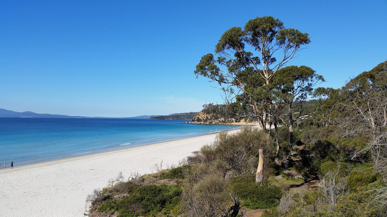Sandee Spring Beach