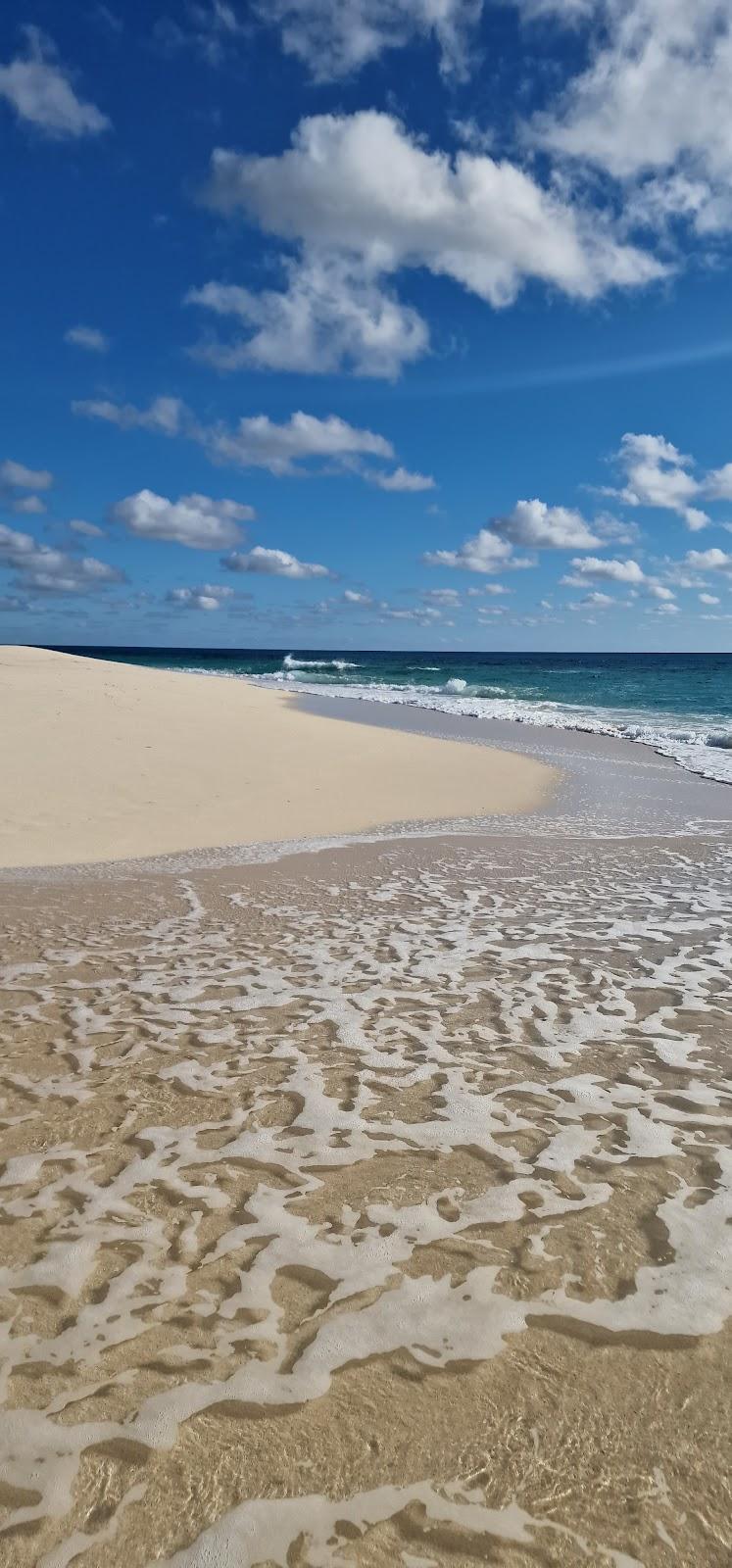 Sandee - Sandy Point Beach