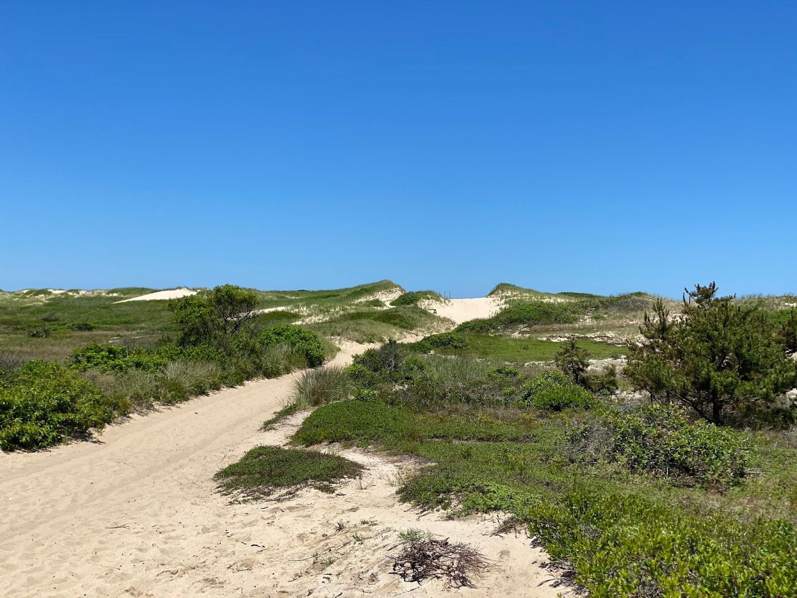 Sandee North Truro - High Head Beach