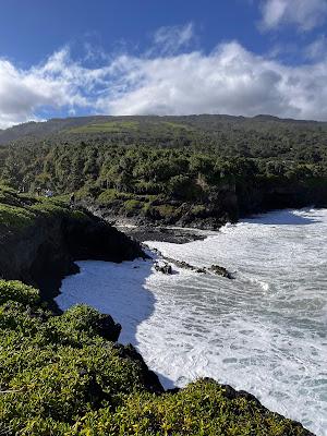 Sandee - Pepeiaolepo Bay