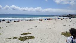 Sandee Playa Las Barrancas