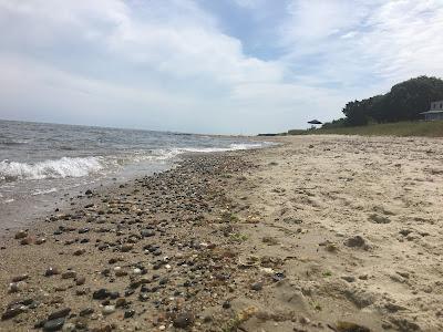 Sandee - Loop View Beach