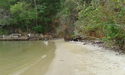 Sandee - Anse Paoua Beach