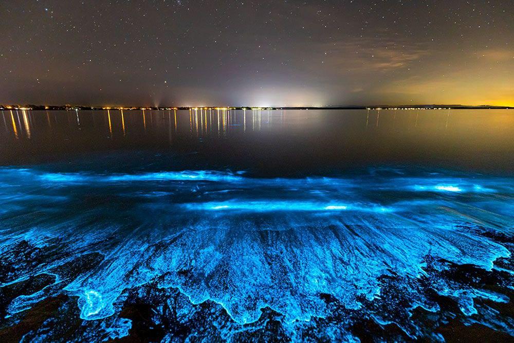 Sandee Bioluminescent Mosquito Bay