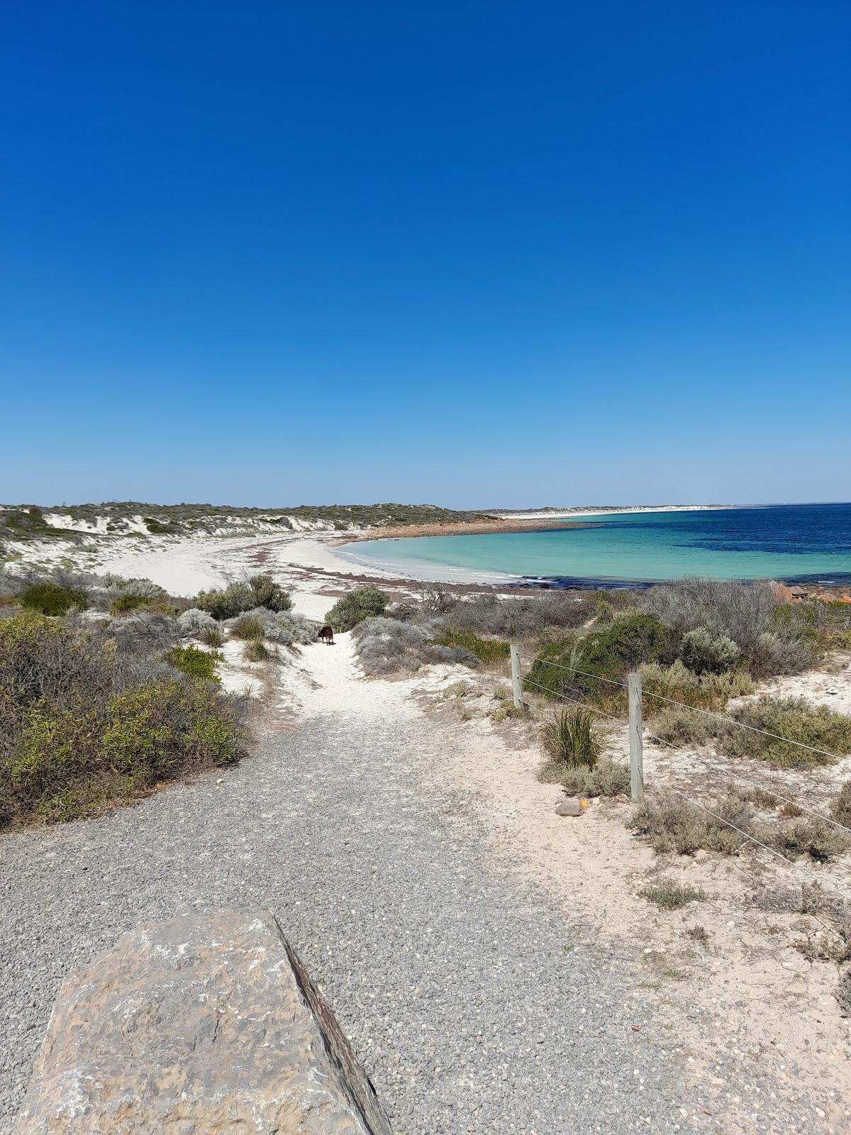 Sandee Rifle Butts Beach Photo