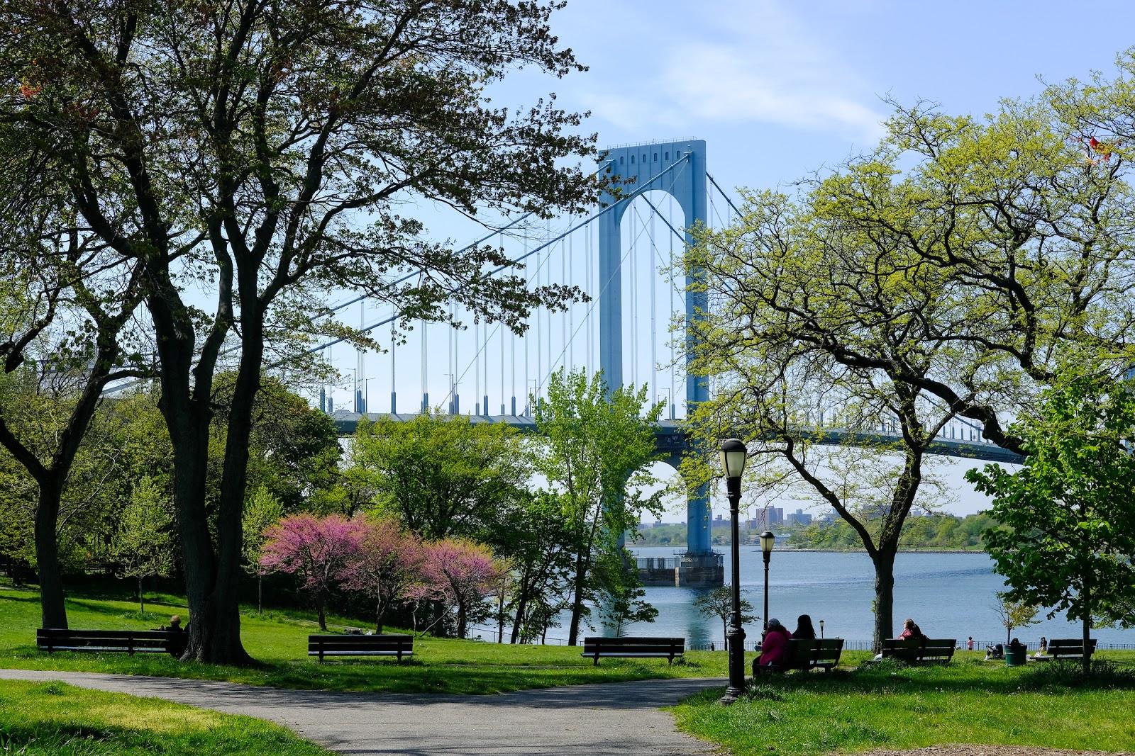Sandee Francis Lewis Park