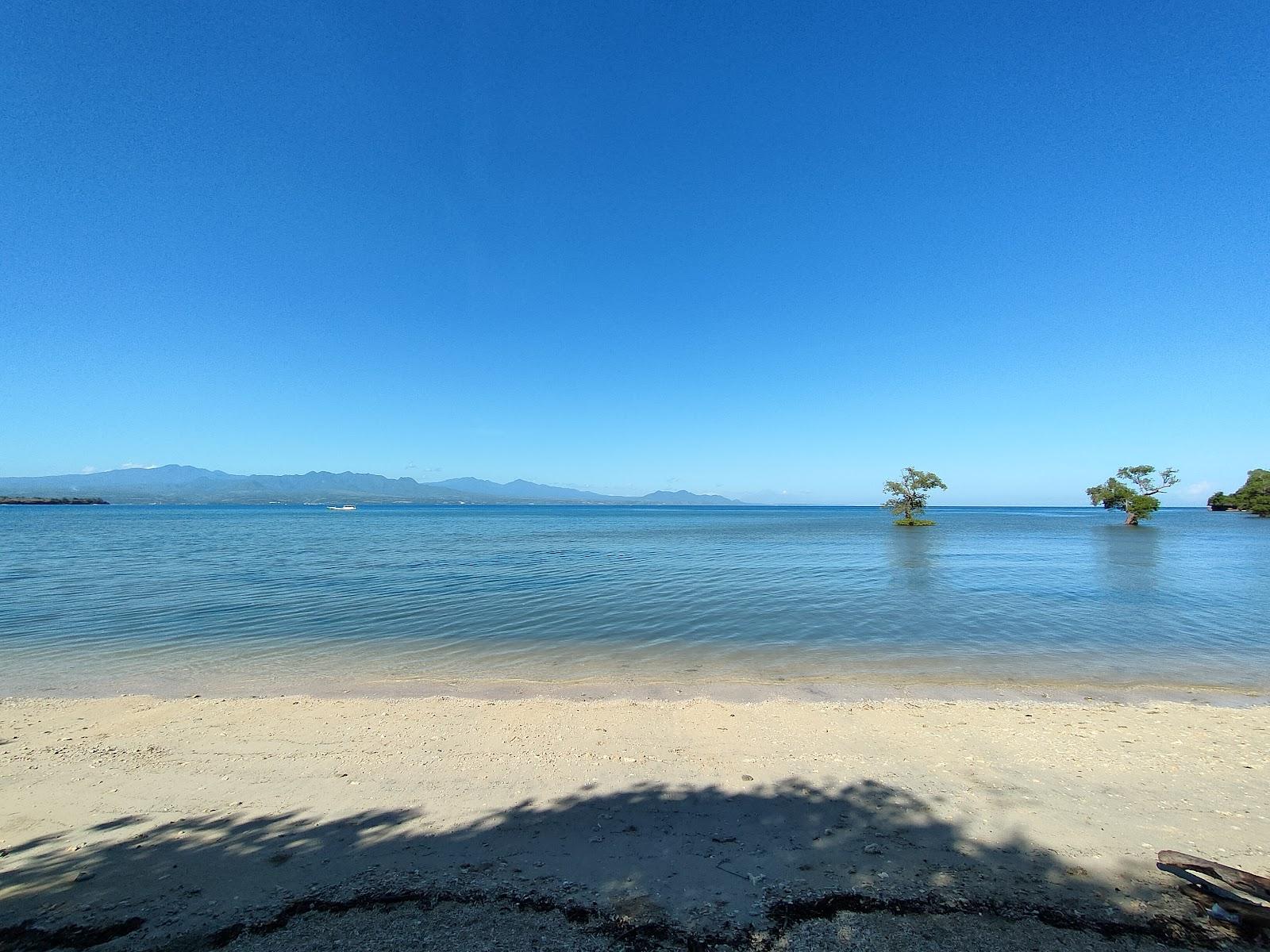 Sandee Pantai Sandro Pole