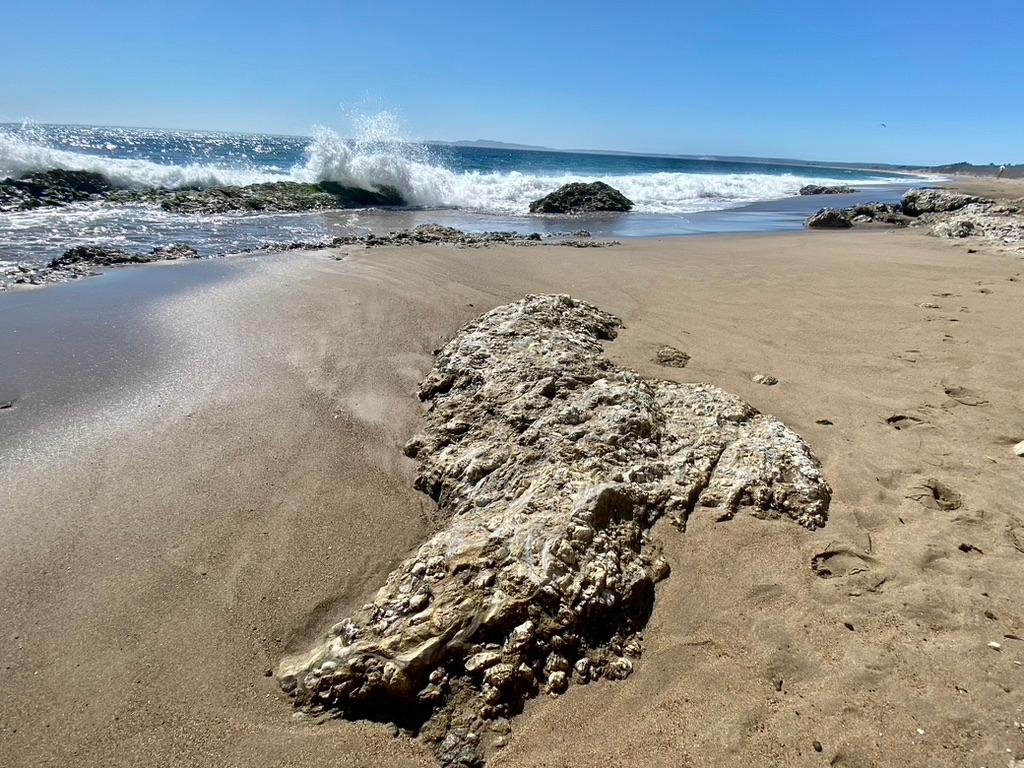 Sandee Sculpture Beach