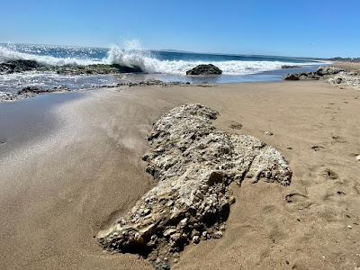 Sandee - Sculpture Beach