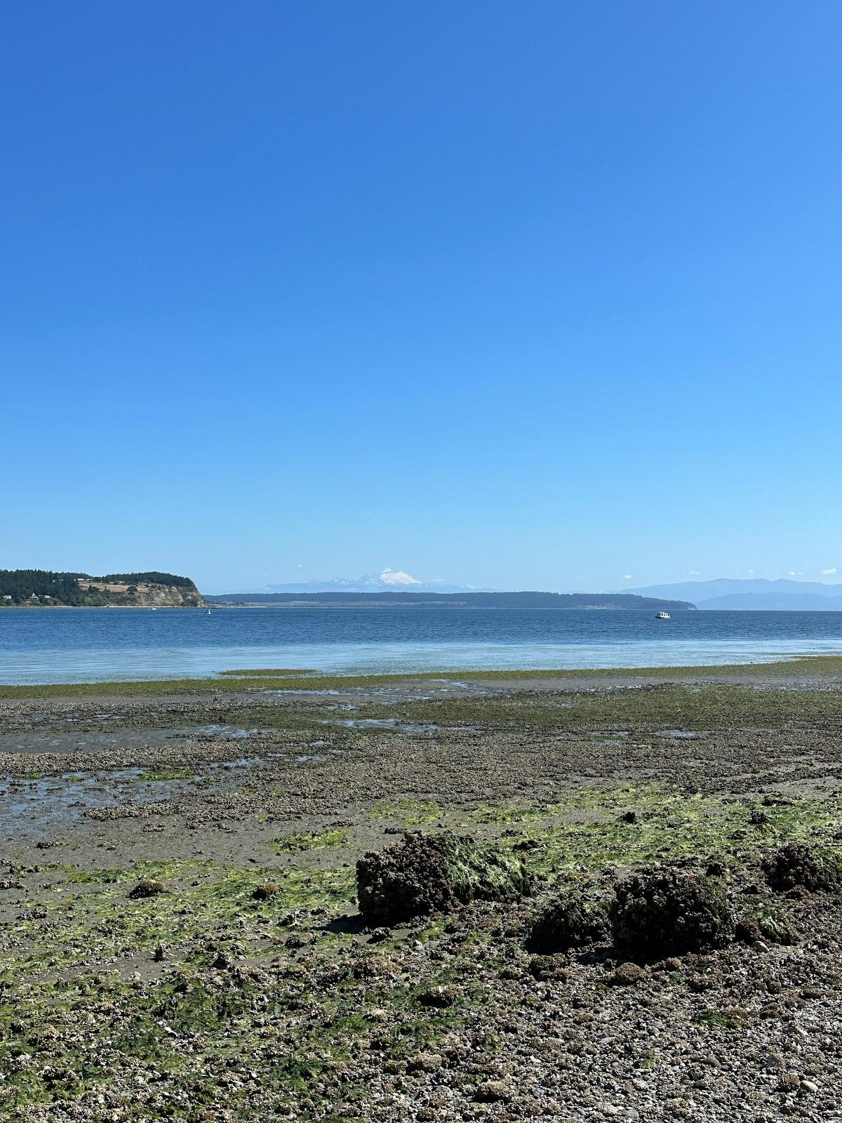 Sandee Coupeville Viewing Platform And Beach Access
