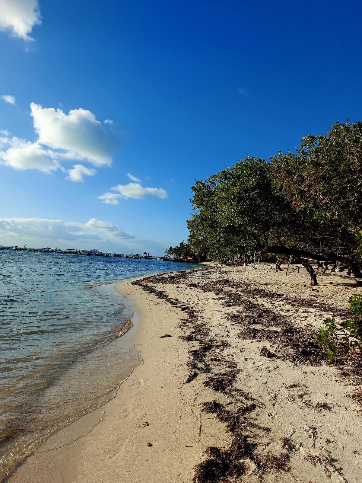 Sandee Playa Tiburon Photo