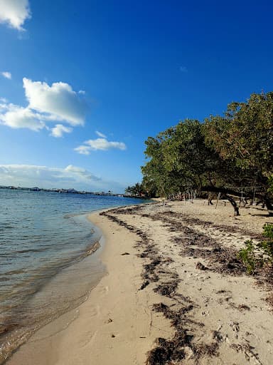 Sandee Playa Tiburon Photo