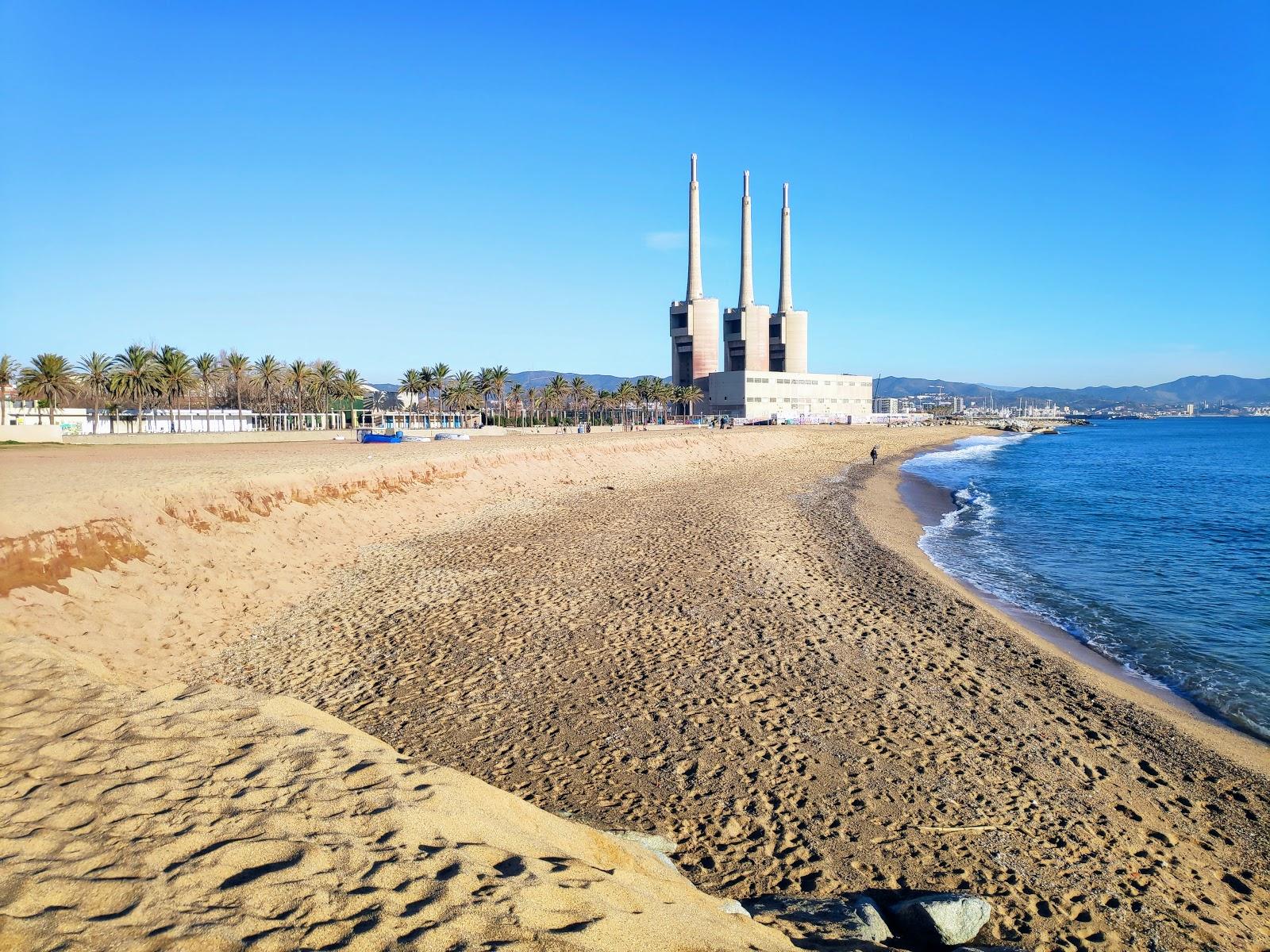 Forum Beach