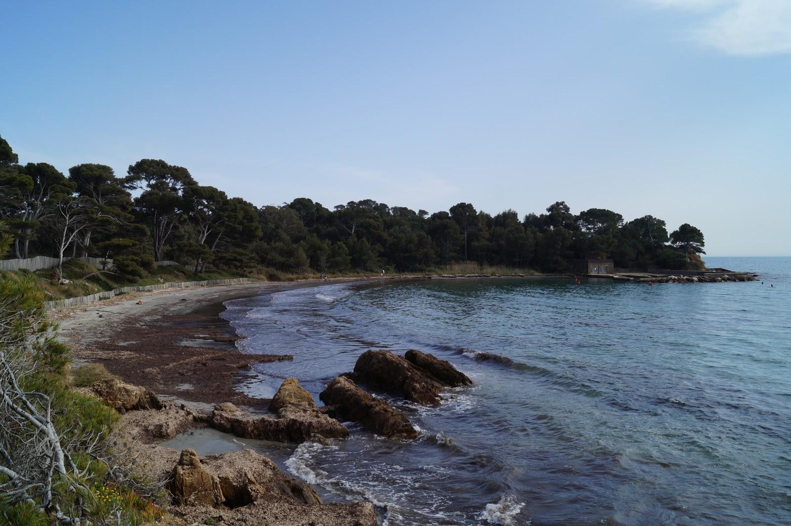 Sandee Vignasse Beach