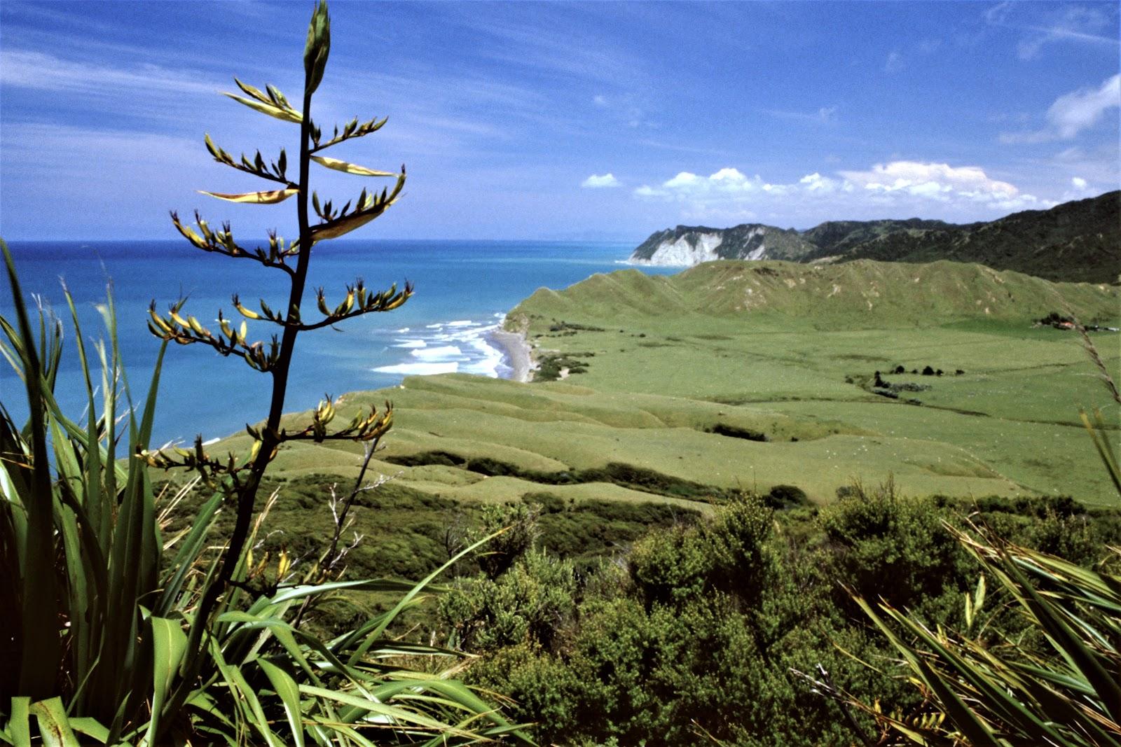 Sandee East Cape