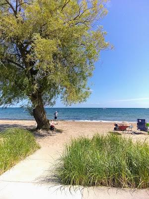 Sandee - Public Shoreline Beach Usfs West Wilsey Bay