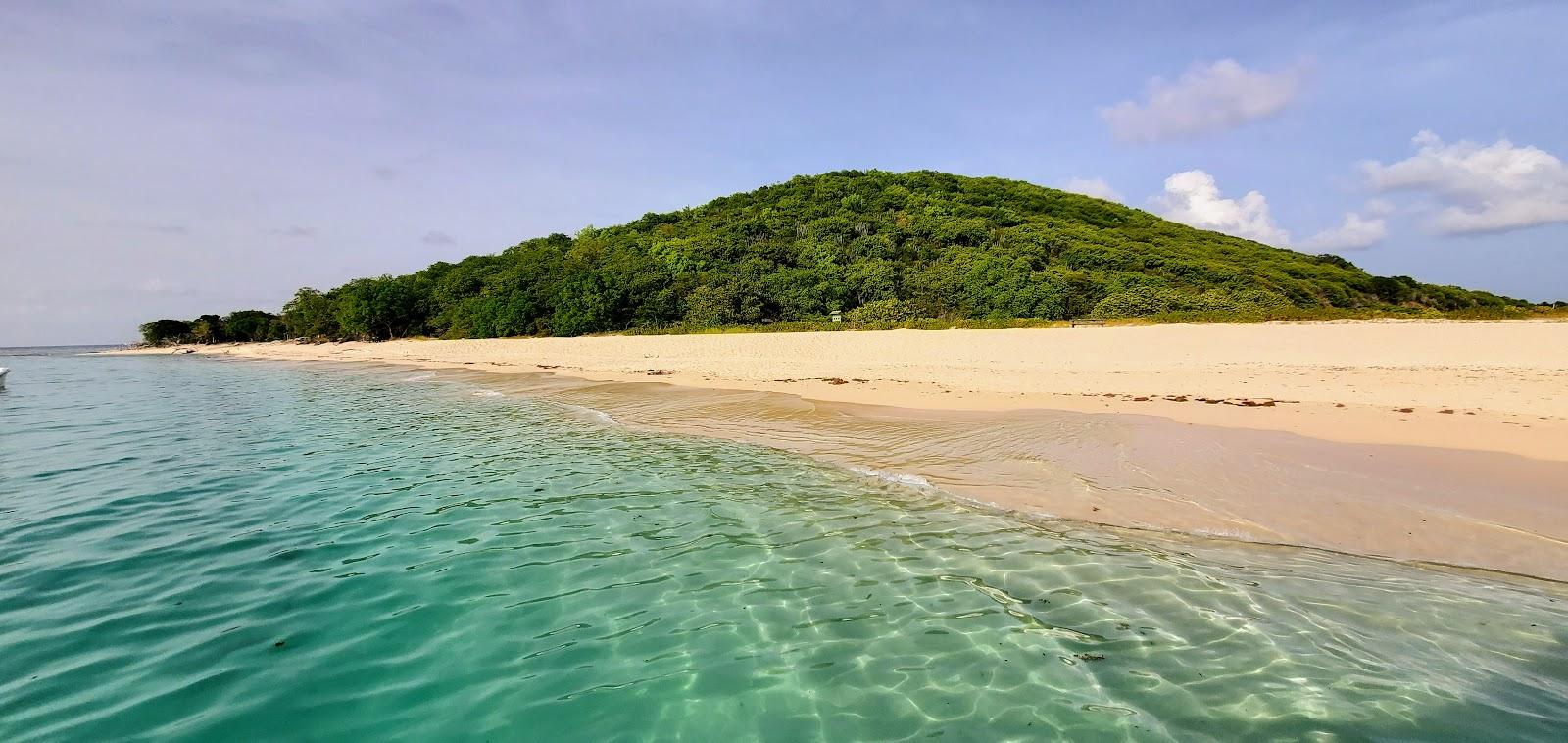 Sandee - Buck Island National Park