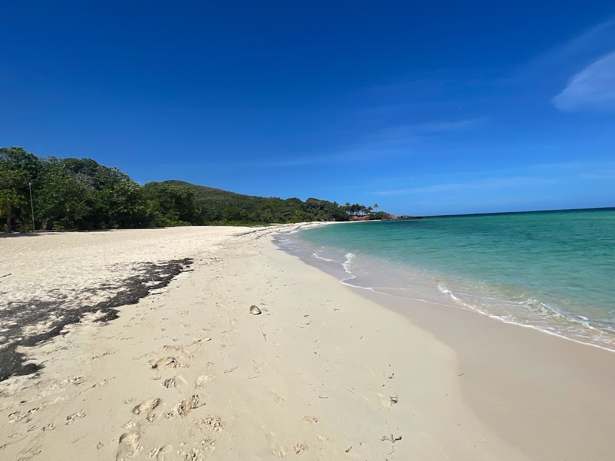 Sandee - North East Cay Beach