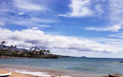 Sandee - Cove Beach Park