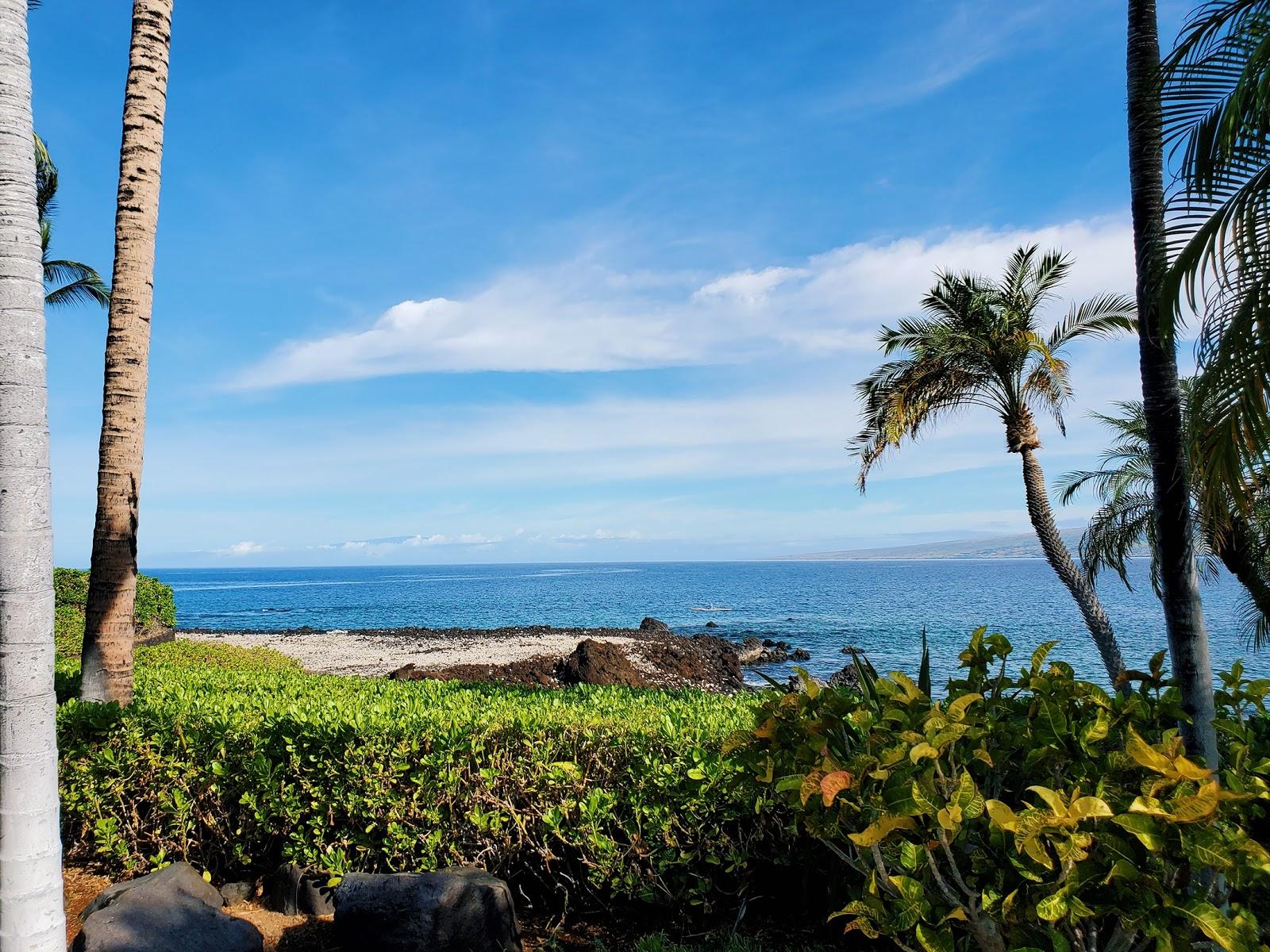 Sandee - Mauna Lani Beach Club