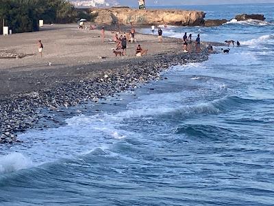 Sandee - Playa El Sillon