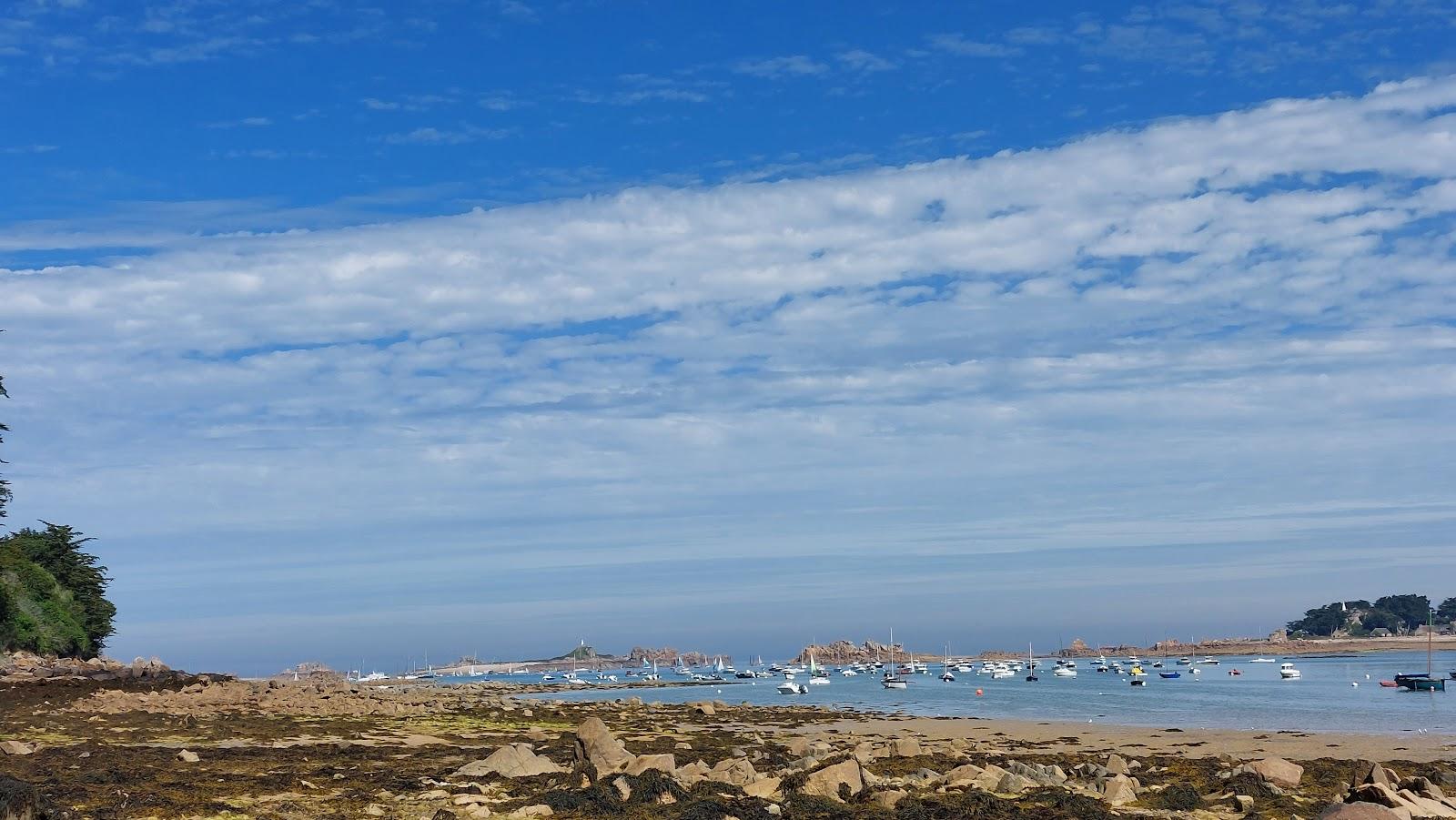 Sandee - Plage Dans L'Anse De Pellinec