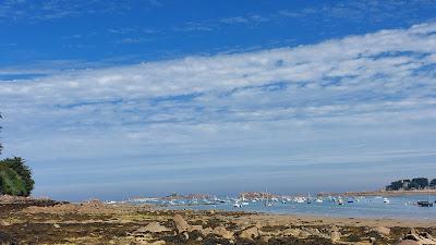 Sandee - Plage Dans L'Anse De Pellinec