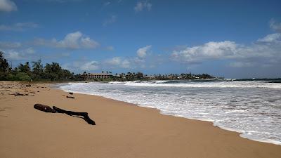 Sandee - Wailua Beach