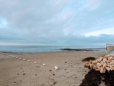 Sandee - Robert K. Rees Park Beach