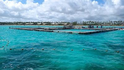 Sandee - Seaquarium Punta Cana