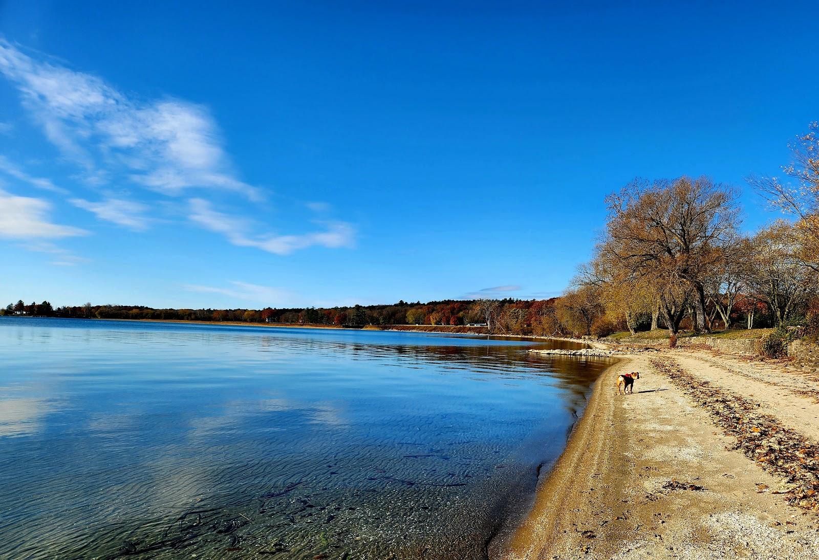 Sandee Brown’S Bay Beach