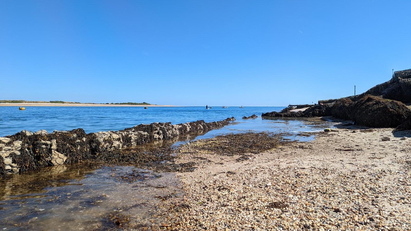 Sandee Langstone Harbour Photo