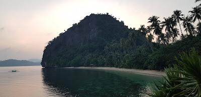 Sandee - Malapacao Private Beach